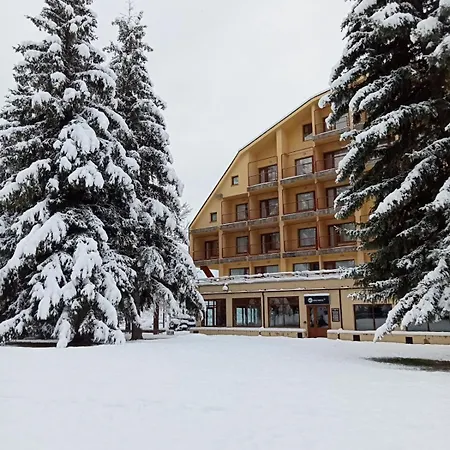 Snoe Edelweiss 세르러